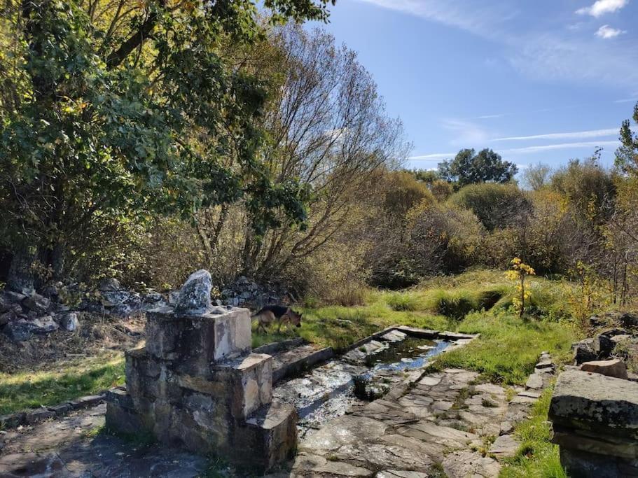 Casa Rural Tozolosolobos Otero de Bodas Luaran gambar